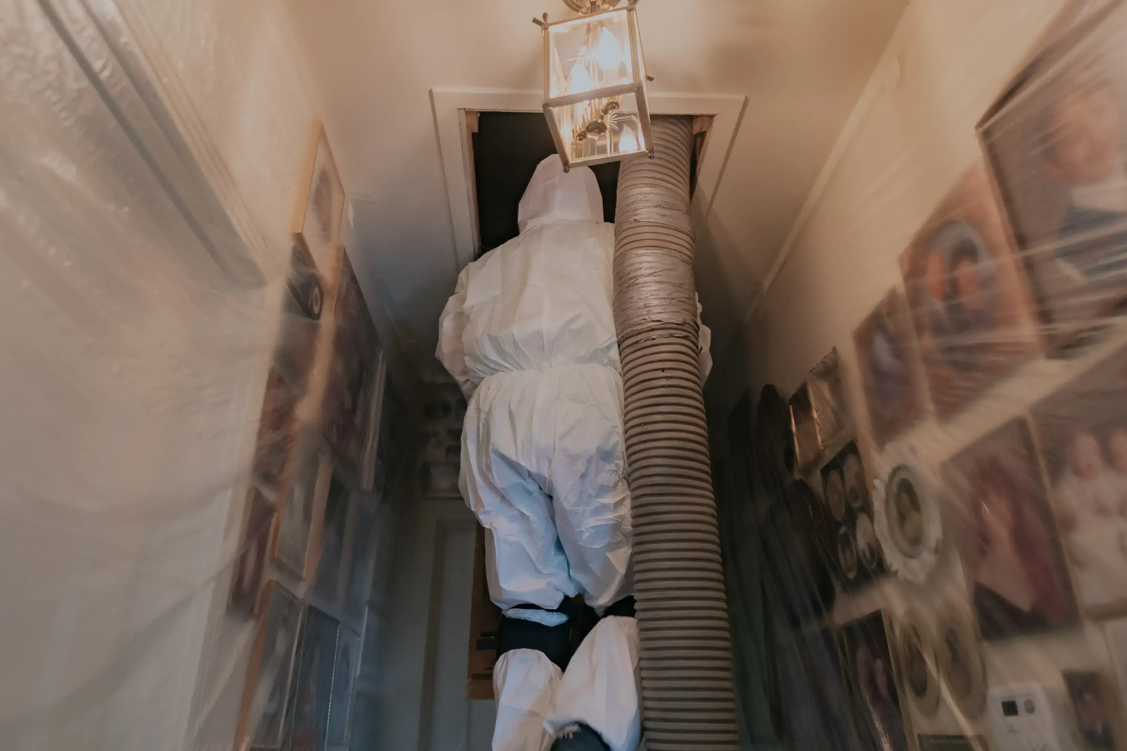 Attic Decontamination and Sanitization Service by Insulation Panda
